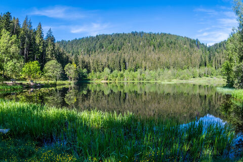 Sankenbachsee