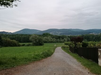 Fotografie z Dragoljub Ilic na trase