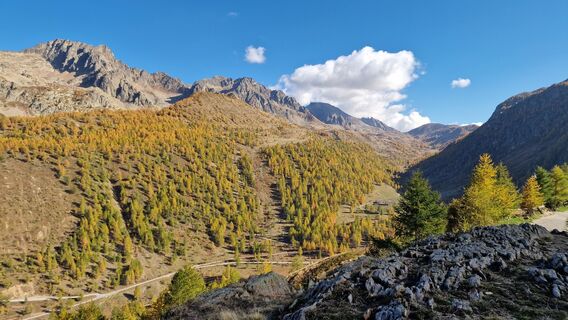 Fotografia z Fabrizi Mellano na trase