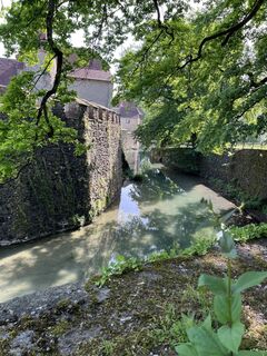 Fotografija s spletne strani Jeannette Etterli na poti