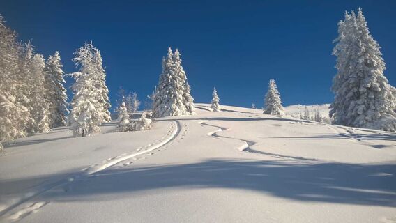 Skitour Gstoder