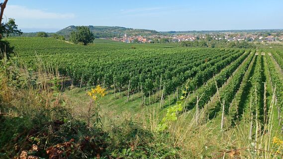 Zdjęcie z hausherr wzdłuż trasy