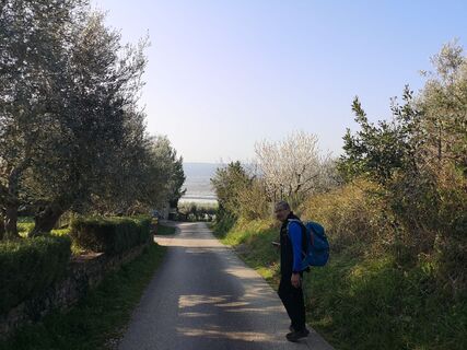 Zdjęcie z Cvetka Salamon wzdłuż trasy