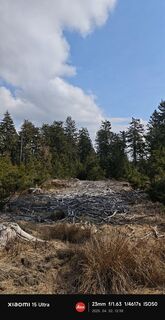 Foto från damilaja242 under resans gång