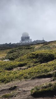Fotografija s spletne strani dino eminagic na poti