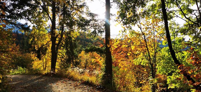 Kuva osoitteesta Klaus Lehner matkan varrella