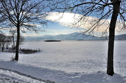 natur historien lehrpfad im winter_img_24280575