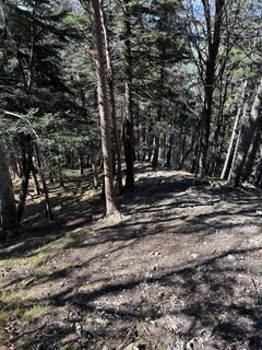 Fotografie z Florian Wieland na trase