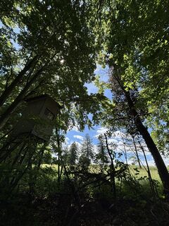 Fotografija s spletne strani Georgiamartin0815 na poti