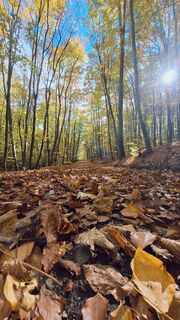 Fotografia z Regina Fleischmann na trase