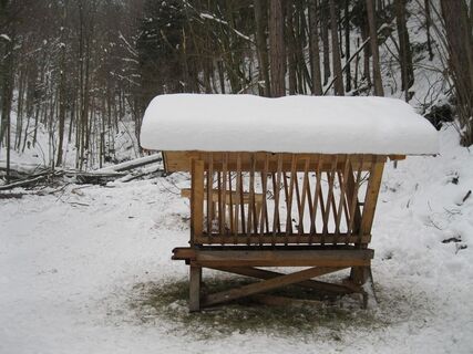 Schneeschuhwanderung auf's Hocheck