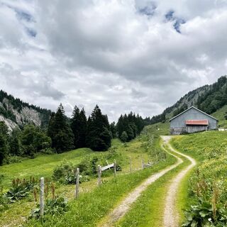Auf dem Weg zur Helmingen Alpe