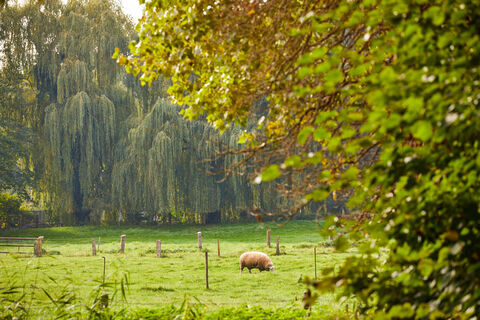 Landschaft in Heek