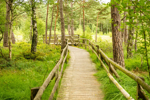 Detmold-Hiddeser Bent-Pivitker Wasserweg-Teutoburger-Wald-Tourismus-D-Ketz-088.jpg