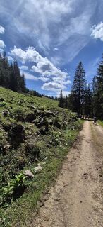 Fotografija s spletne strani Gernot Zechner na poti