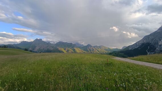 Fotografia z Baumi na trase