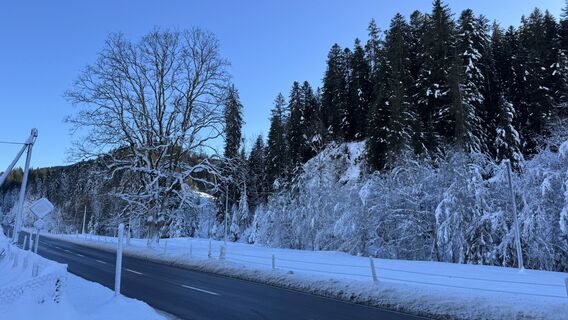 Fotografia z peter_oe na trase