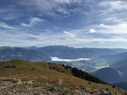 Fotografia z Frank de Vries na trase