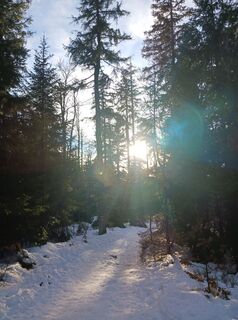 Photo from Burgim65 along the tour