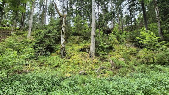 Foto fra w.k2 undervejs på turen