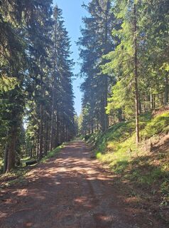 Foto von Katja Gonzi entlang der Tour
