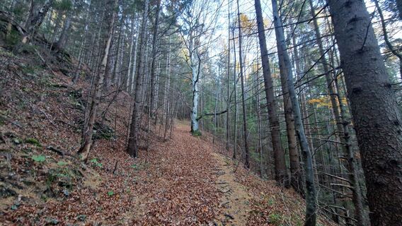 Fotografia z EP87 na trase