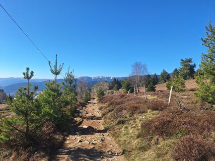 Photo de Katharina le long du parcours