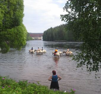 Mellonlahti