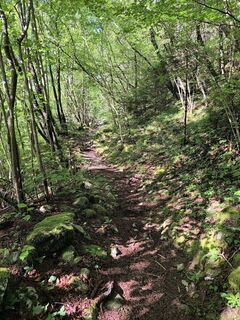 Photo de Latschngeist Michl le long du parcours