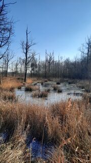 Foto von Enkidu55 entlang der Tour