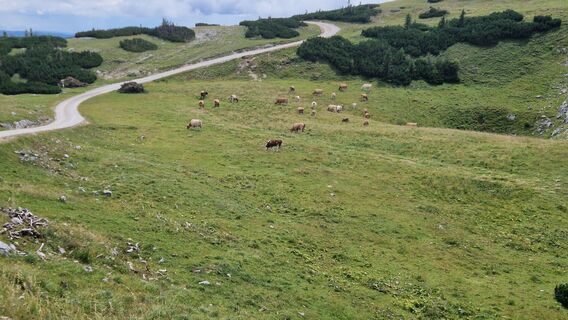 Foto von EP87 entlang der Tour