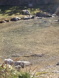 Foto von Viviana Maria Girard entlang der Tour