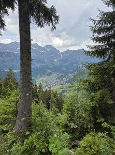 Foto von Jwemmenhove entlang der Tour