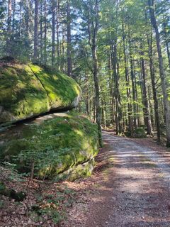 Am Glashüttenweg zum PP Oberschwarzenberg