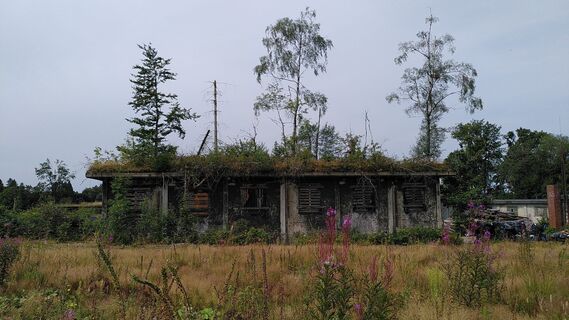 Foto de ukawe a lo largo del recorrido