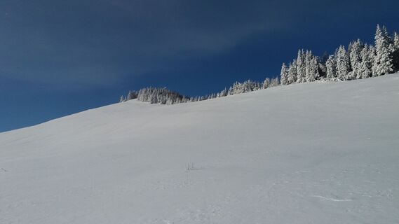 Schneeschuh-Runde am Brandkogel_verschneite Sommerweide