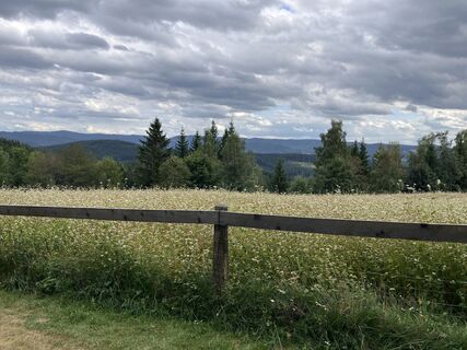Foto de Rosťa Krejčí a lo largo del recorrido