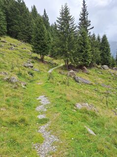 Foto von Tomasz Jarosławski entlang der Tour