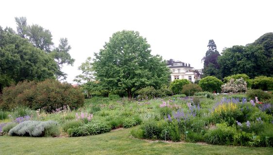Weinheim_Hermannshof_Jasmin-Wolf (34)