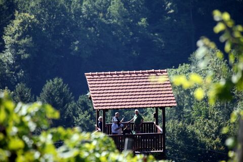 Weinbergwarte Bad Gams