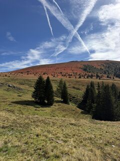 Fotografia z hadnik na trase