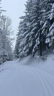 Foto von Józef Kulpa entlang der Tour