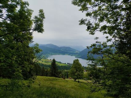 Foto von Niklas Johansen entlang der Tour