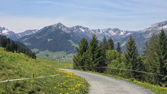 Foto von Yvonne Karcher entlang der Tour