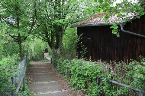 Staffeln hinauf zum Hopfenweg und zum Hardt