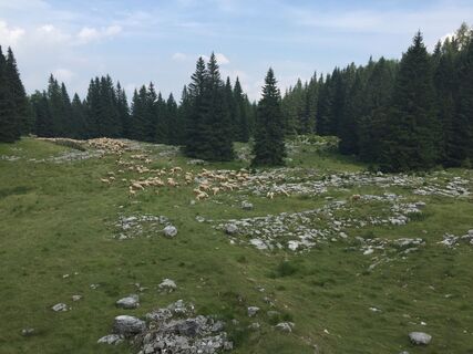Fotografia z Gerardo Brunetti na trase