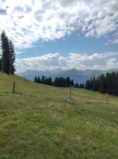 Foto von Stefan Heinzelmann entlang der Tour