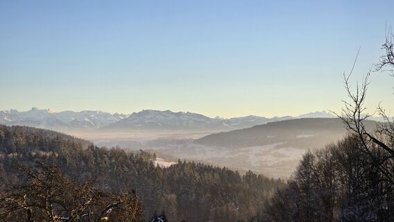 Fotografija s spletne strani erable mouchete na poti