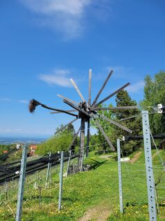 Foto von Juliane Jarke entlang der Tour