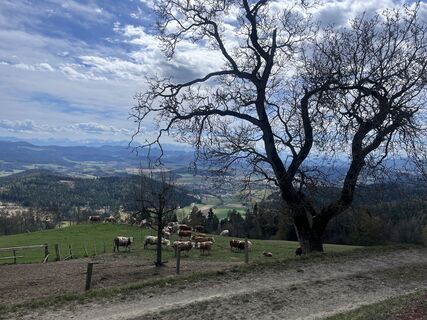 Foto de Monika Weiss a lo largo del recorrido